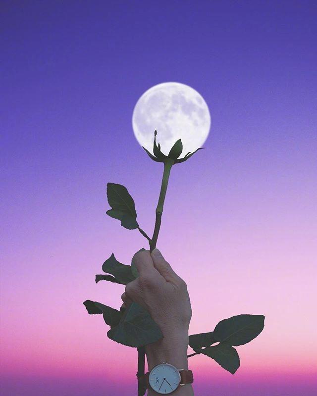 尘埃3开始游戏没反应_四散的尘埃手机游戏下载_尘埃3汉化游戏目录