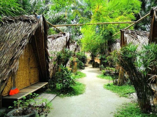 蟑螂女生_手机蟑螂美女游戏_蟑螂妹是什么