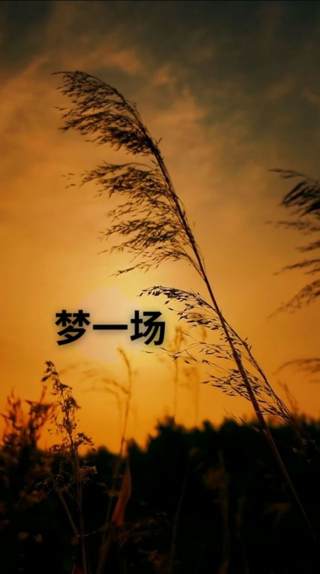 美健源商城花优茶多少钱_健屋花那_屋健花那