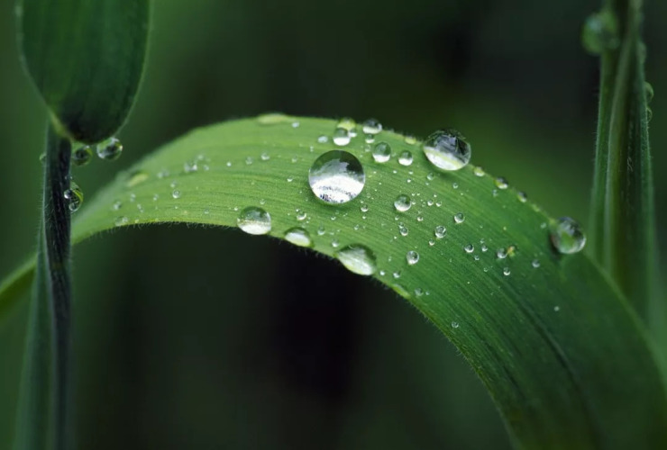 秋月级防空驱逐舰_秋月级驱逐舰_秋月级