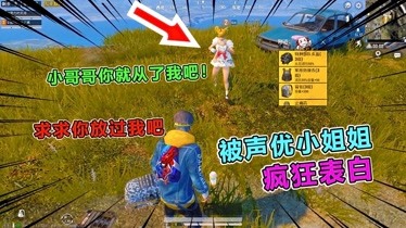 游戏表白手机版哪个好_适合表白玩的游戏_表白游戏cp