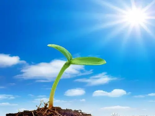 雾人_恐怖电影雾人_雾人电影有几部