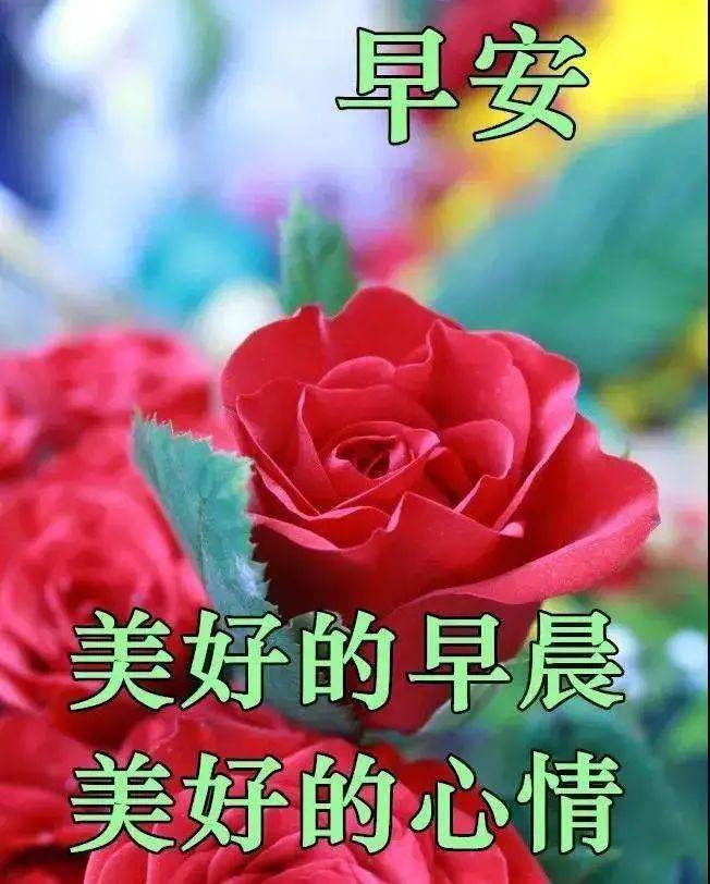 问候的方式_不一样的早安问候方式_日本人见面时的问候方式