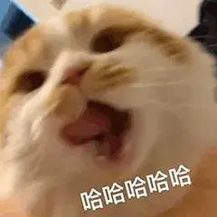 聊天微信图片大全搞笑_聊天微信图片怎么恢复_微信聊天图片