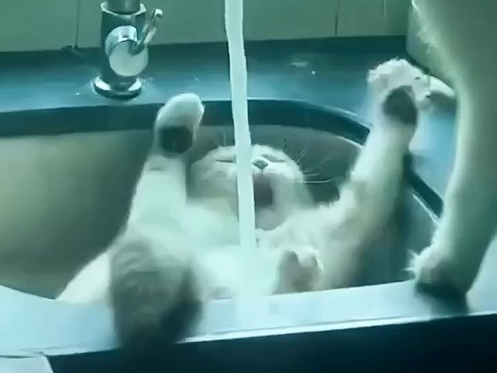 猫眼精灵摄像头_喵眼精灵摄像头_喵眼精灵摄像头怎么不转动