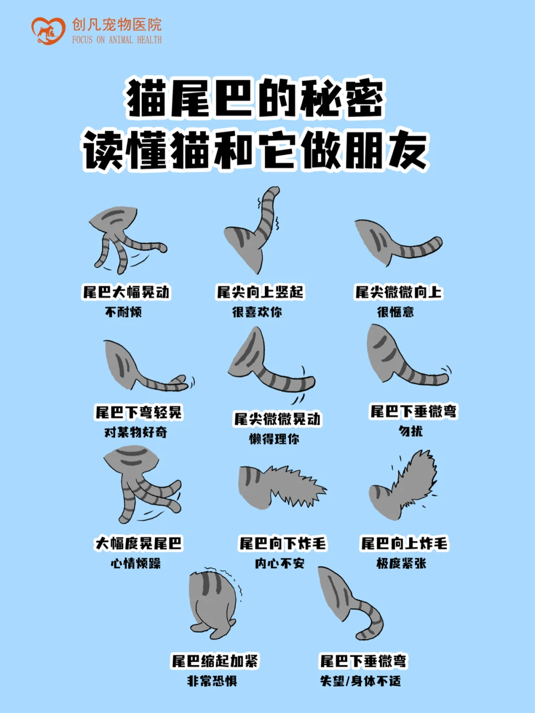 猫眼精灵摄像头_喵眼精灵摄像头_喵眼精灵摄像头怎么不转动