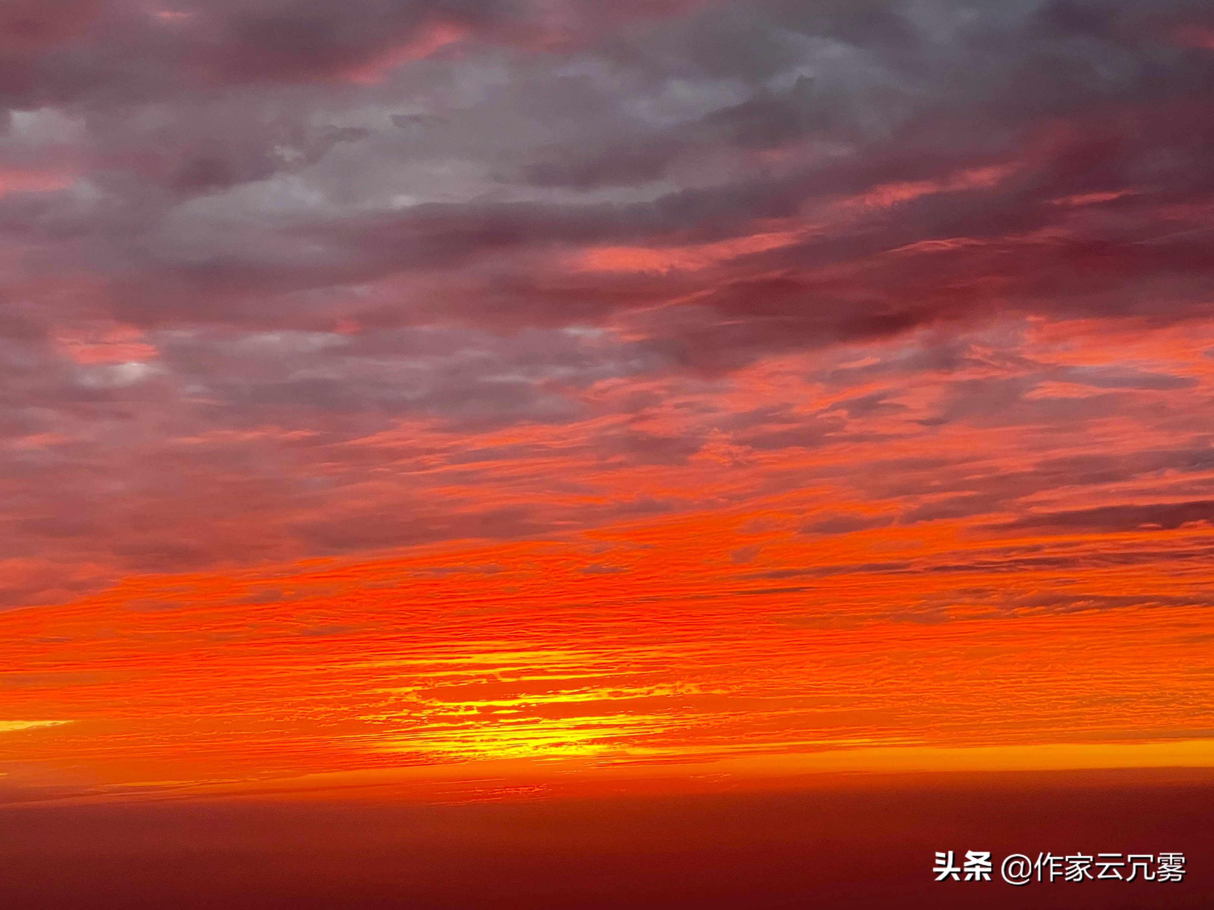八云橙_八云_八云蓝