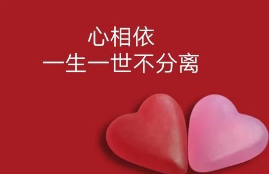 真那_真那_真那