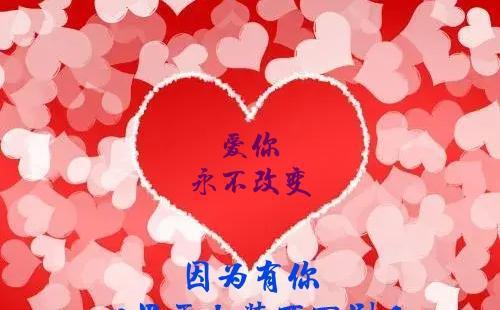 真那_真那_真那