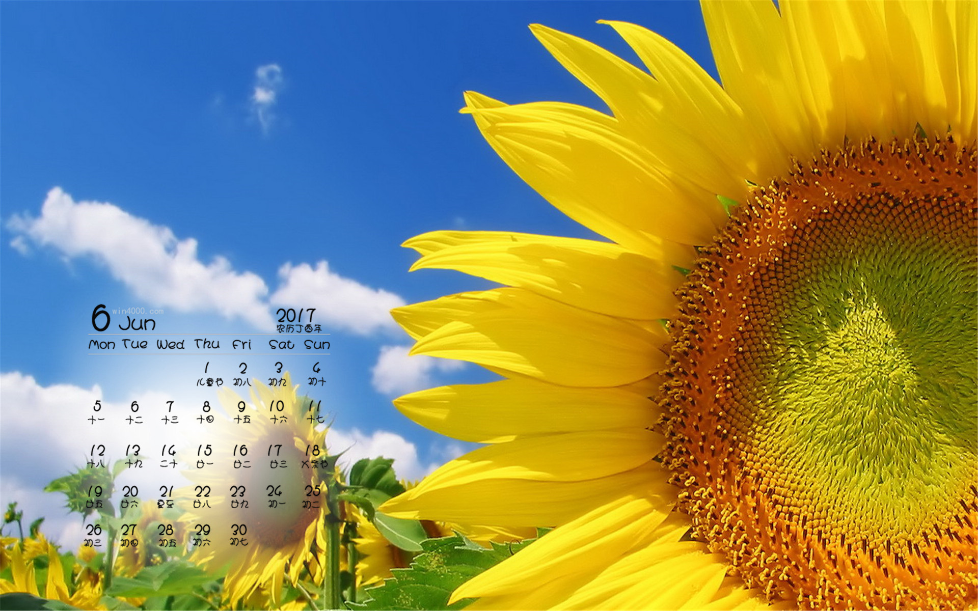 6月桌面_桌面月历_2014年11月壁纸日历桌面