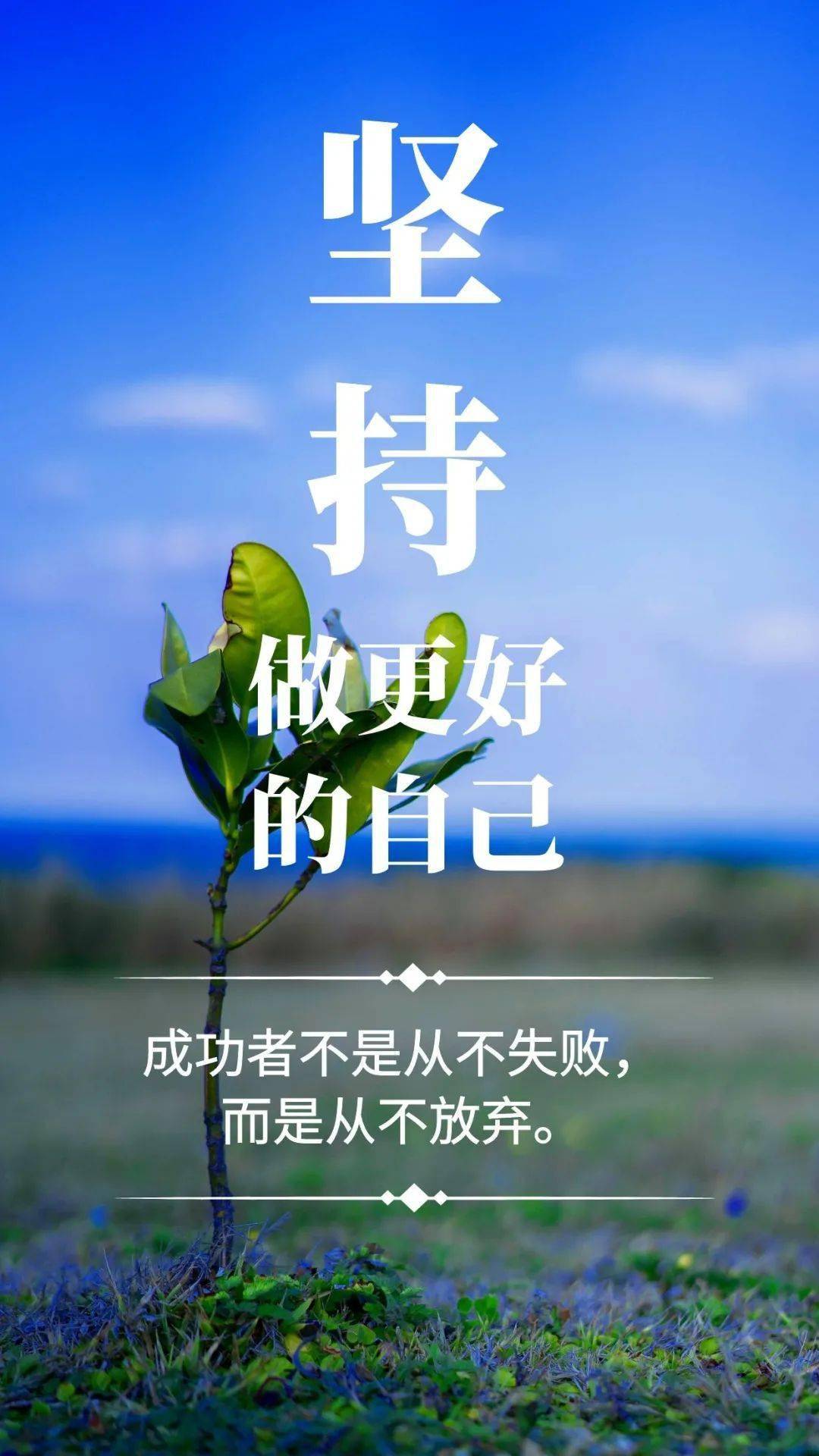 婚后光子声优_婚后光子萌娘百科_婚后光子