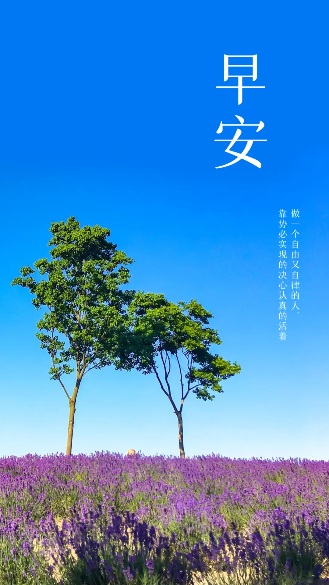 婚后光子萌娘百科_婚后光子声优_婚后光子