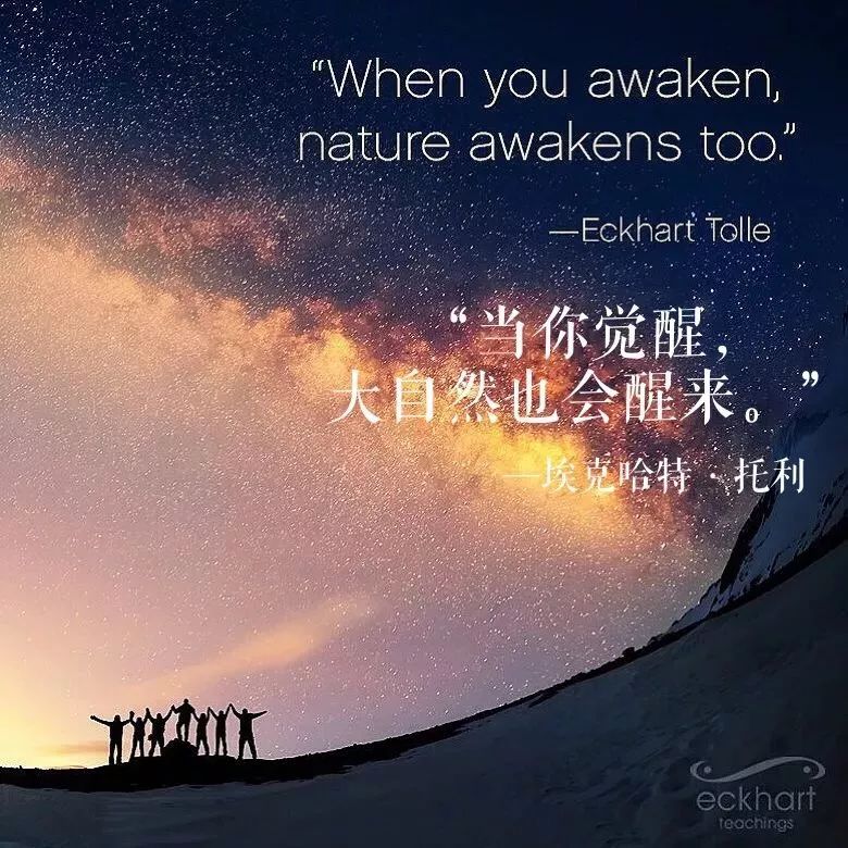 万年竹_孝顺竹是倭竹_刚竹是散生竹还是丛生竹