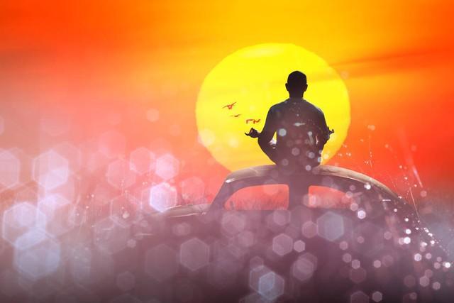 孝顺竹是倭竹_刚竹是散生竹还是丛生竹_万年竹