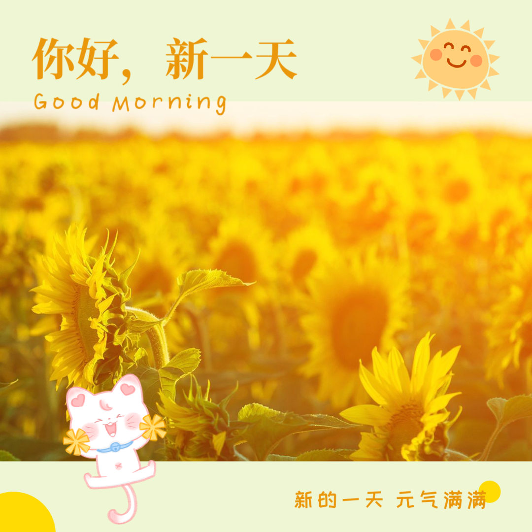 雷霆战争下载_战争雷霆wiki_雷霆战争手游下载安装手机版
