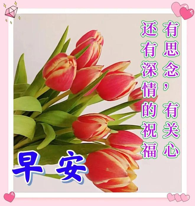 樱小路_樱小路_樱小路