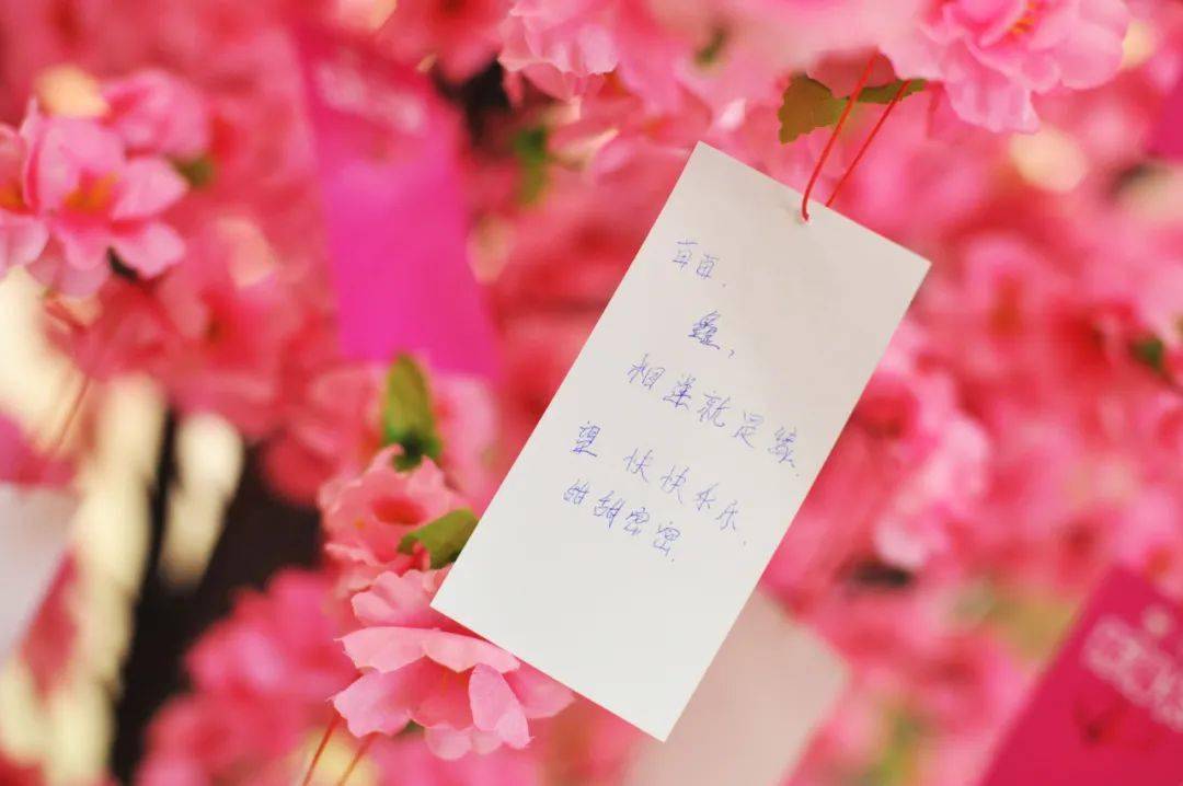 星火玩火车游戏_星火游戏解说火车视频_星火解说手机版的火车游戏