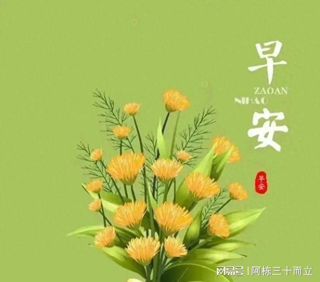 前田阳菜黑人白目播放_光明目丝_目白光明