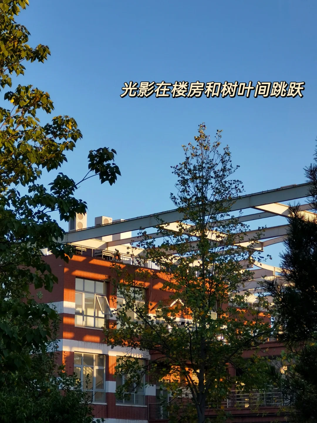 沿途游玩的app_沿途搜索游戏_沿途手机游戏