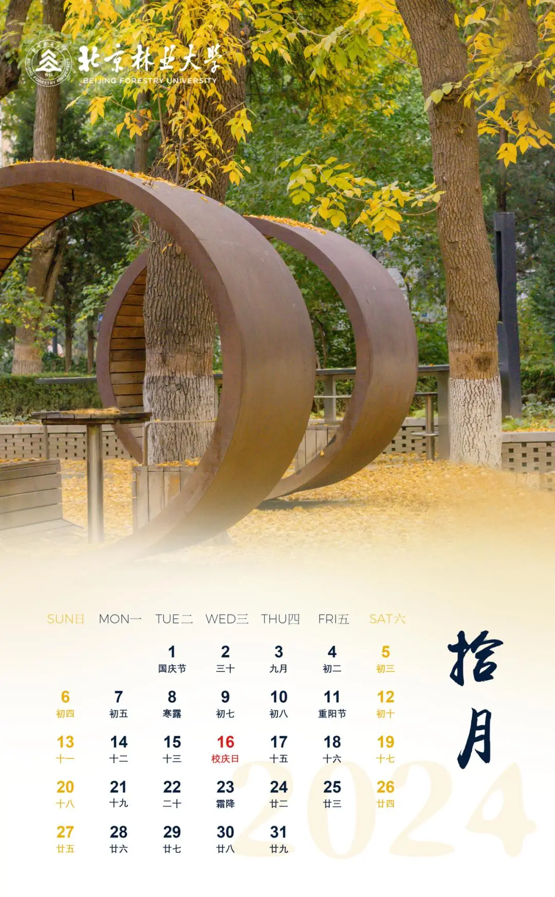 日历年份_日历年份表_22年日历