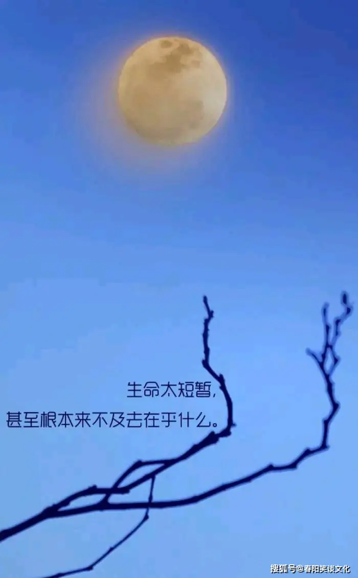 寒风凛洌的凛什么意思_韩宝凛金宝凛_八重凛