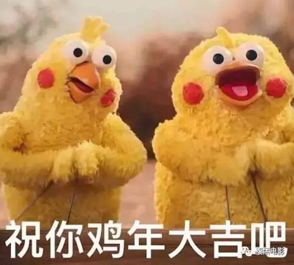 电影《欢乐好声音》_动画片欢乐好声音免费_欢乐好声音电影免费版