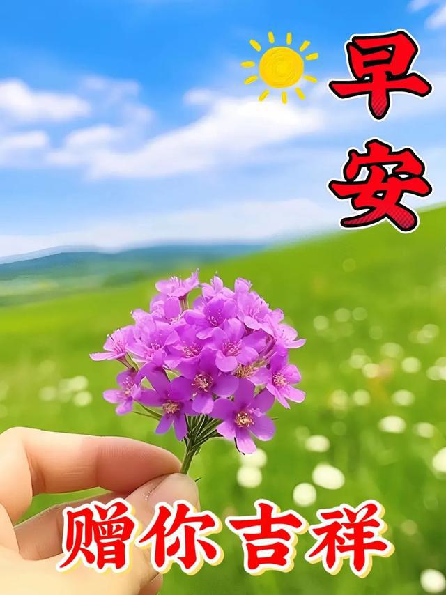 玛奇_玛奇玛_玛奇朵和卡布奇诺