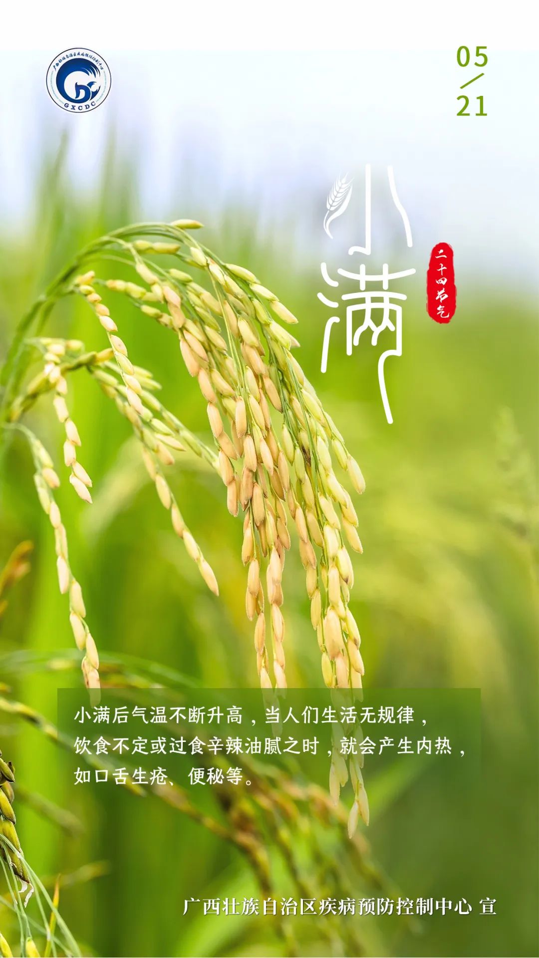 小满节气_节气小满是几月几号_节气小满是什么意思